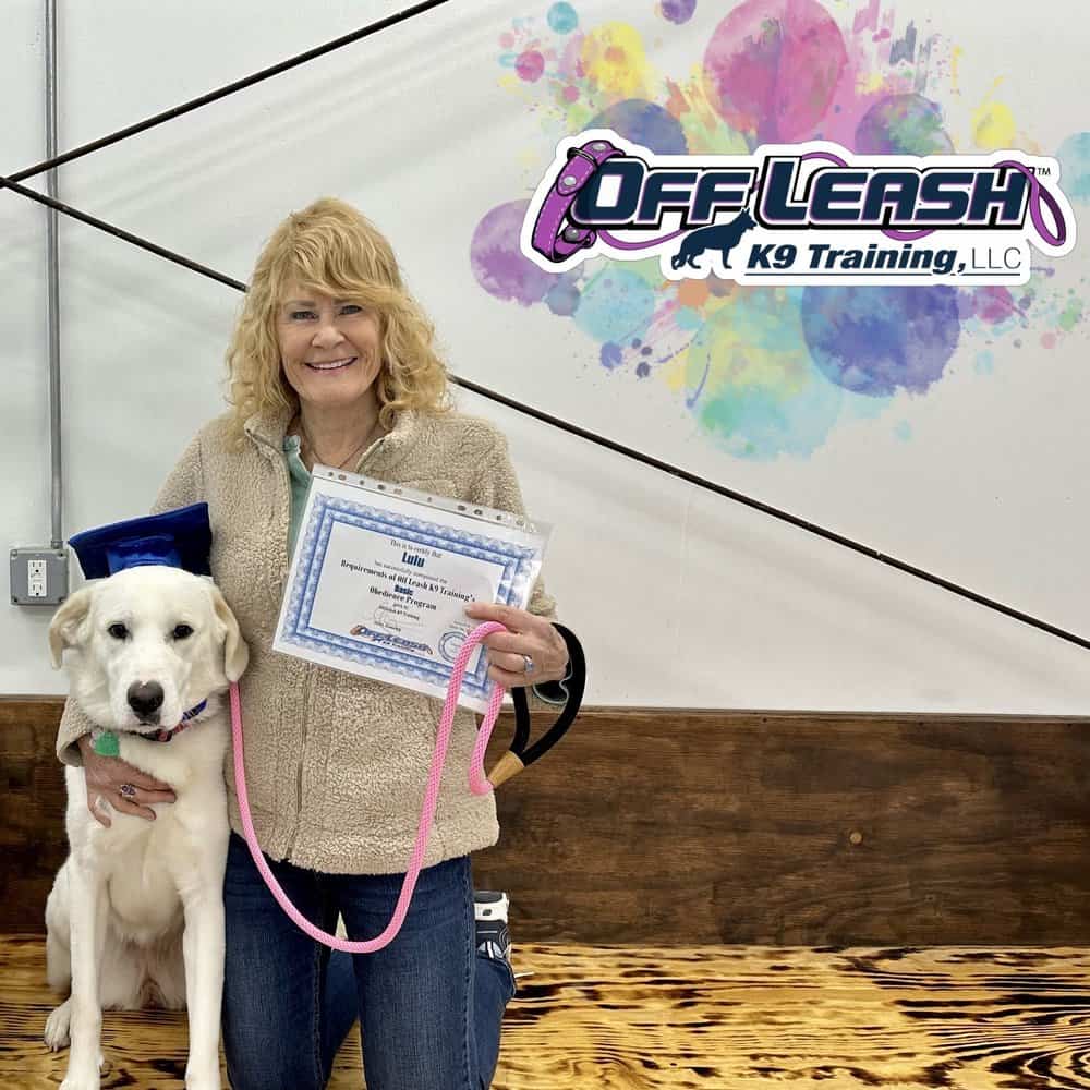 What is pet licensing