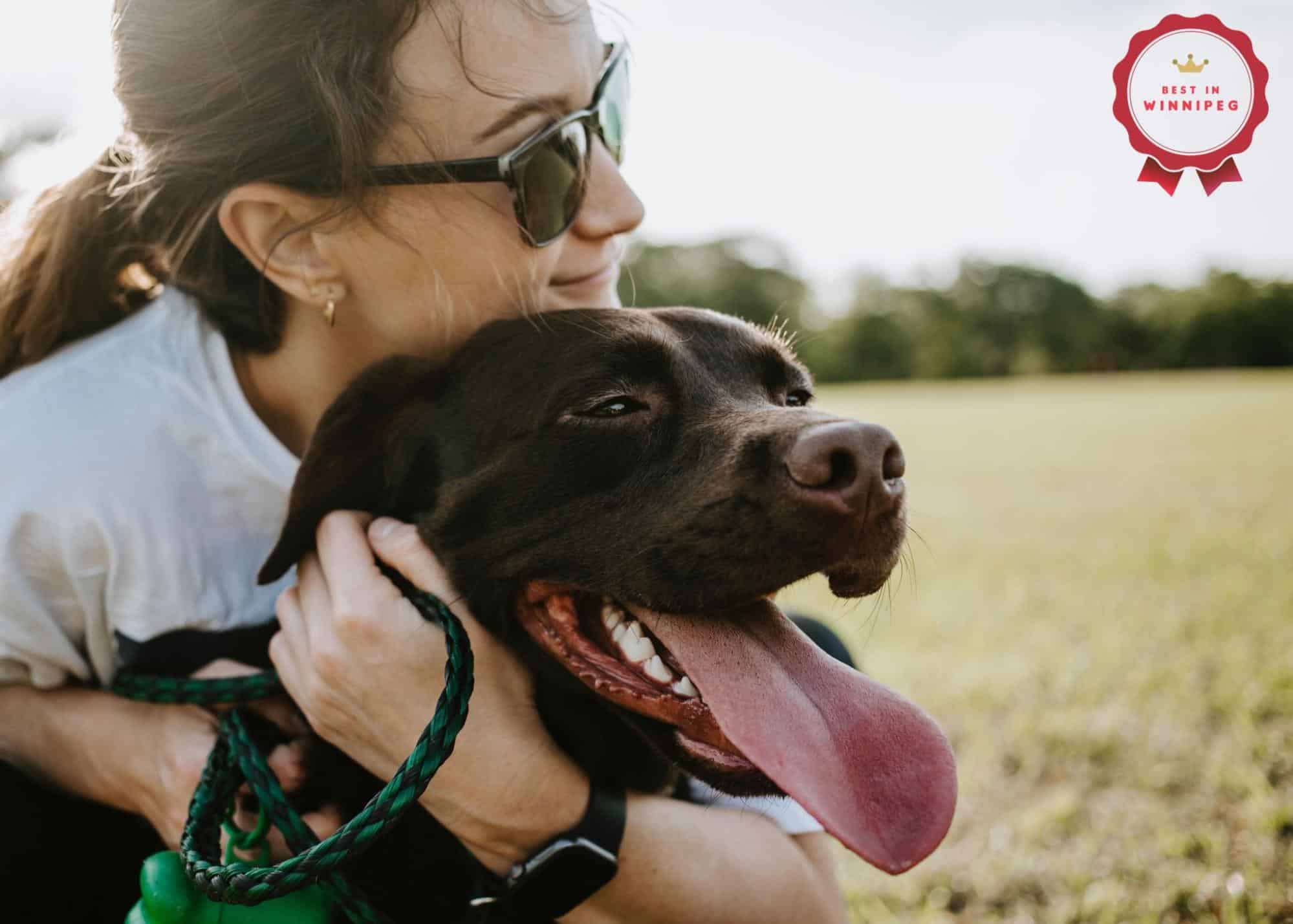 Winnipeg's Dog-Friendly Scene What You Need to Know