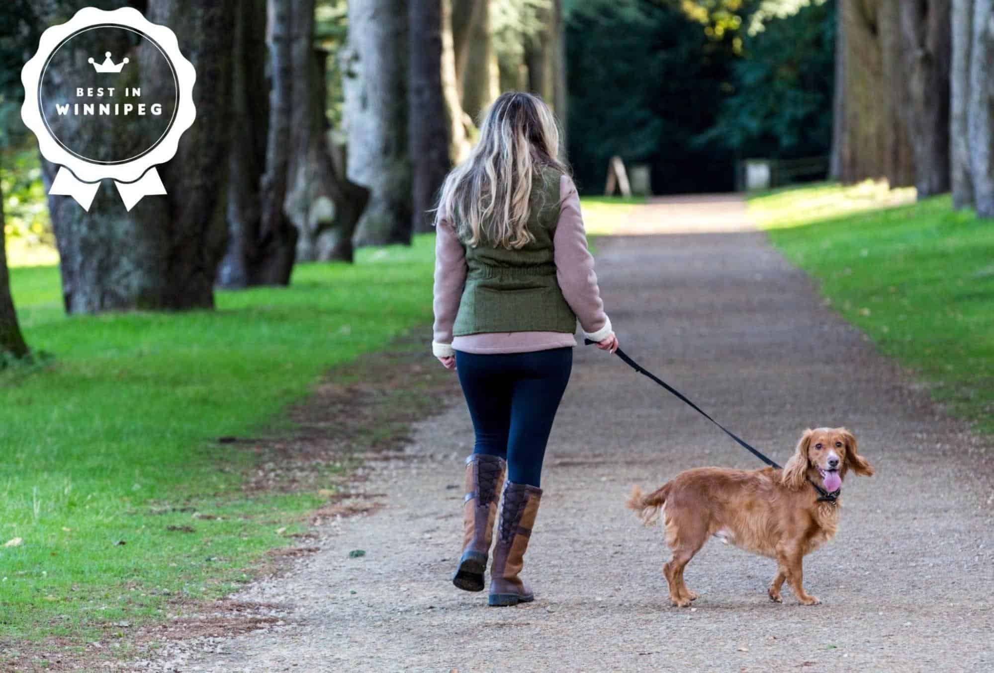 10 Parks to Let Your Dog Run Free in Winnipeg