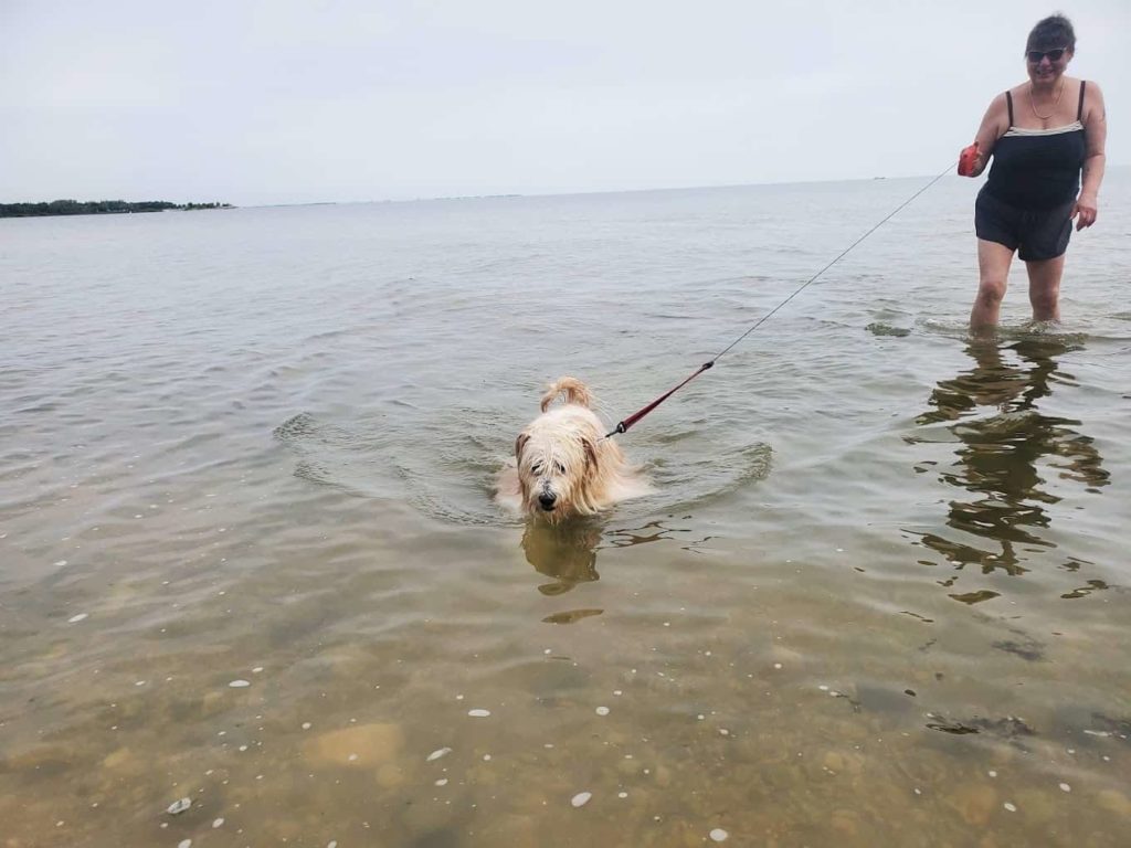 Winnipeg Beach Dog Beach