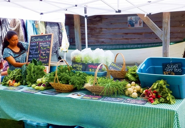 Wolseley Farmers Market