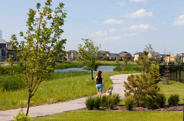 Bridgwater Forest Neighborhood