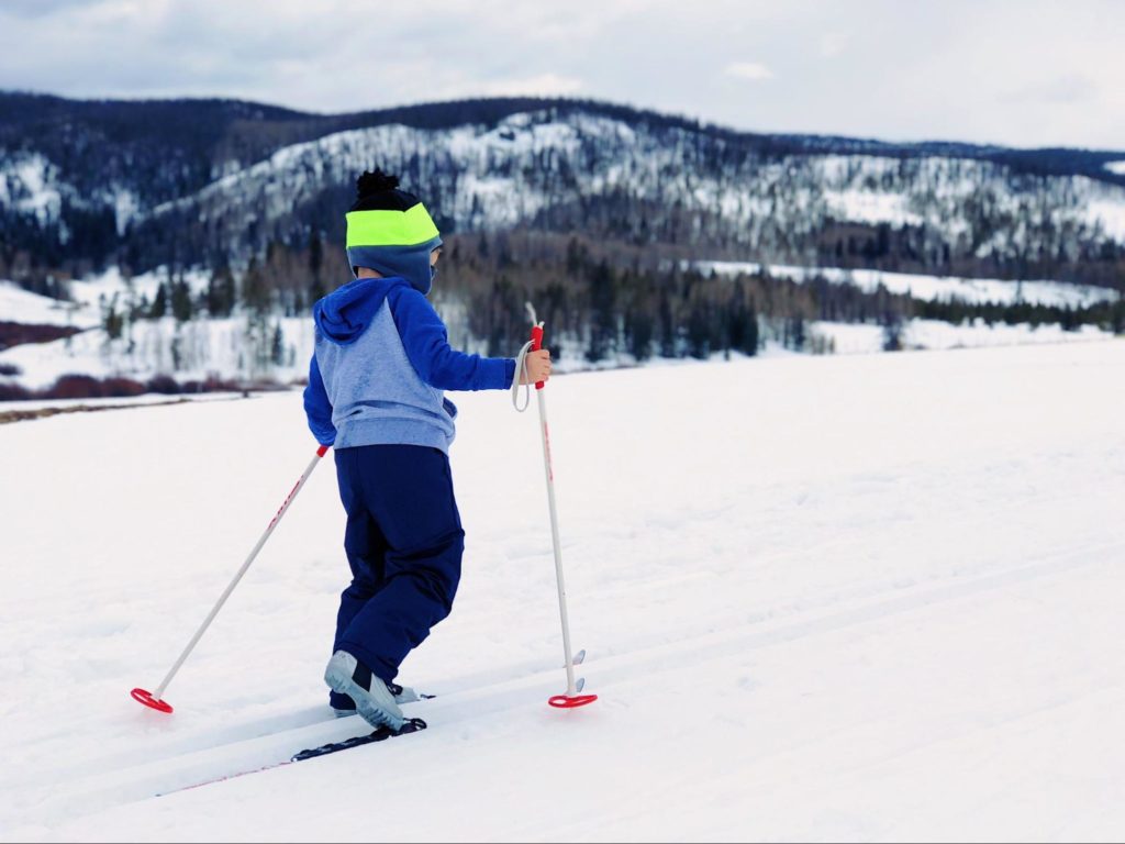 Go cross-country skiing at FortWhyte Alive