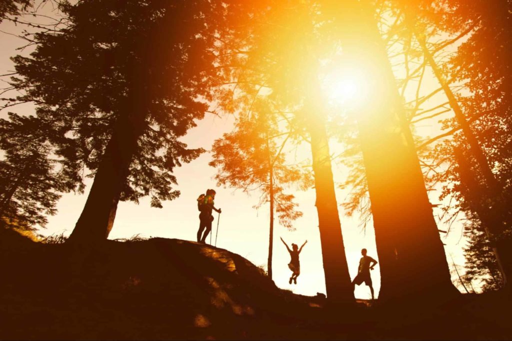 Hiking Trails for Every Level