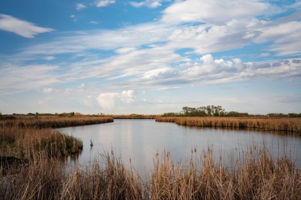 Oak Hammock Marsh