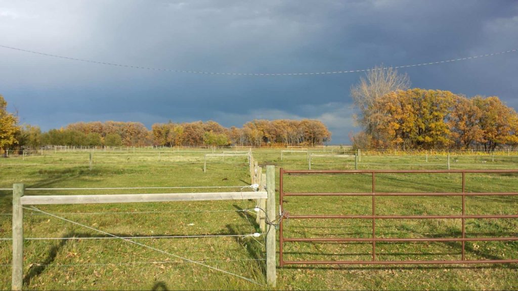 Poco Razz Farm