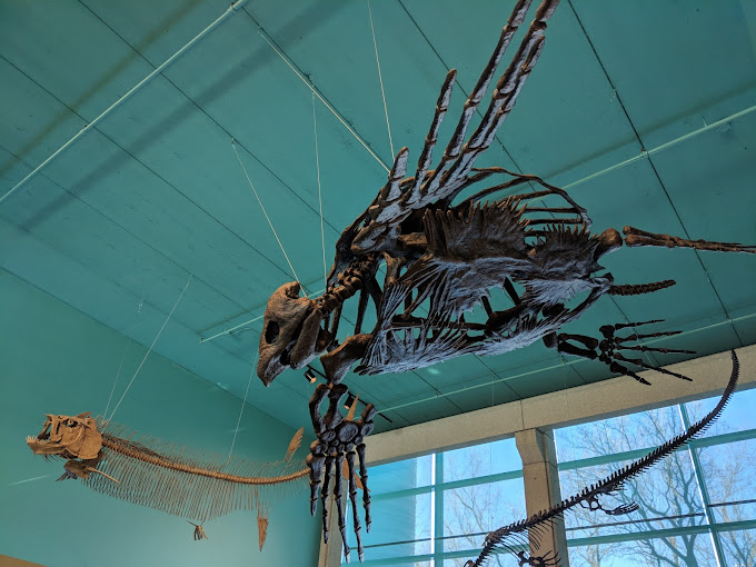 Robert B. Ferguson Museum of Mineralogy