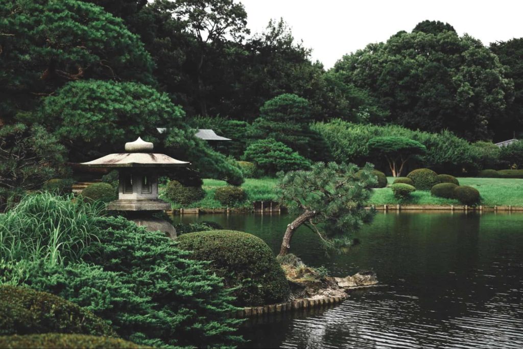 Visit a garden