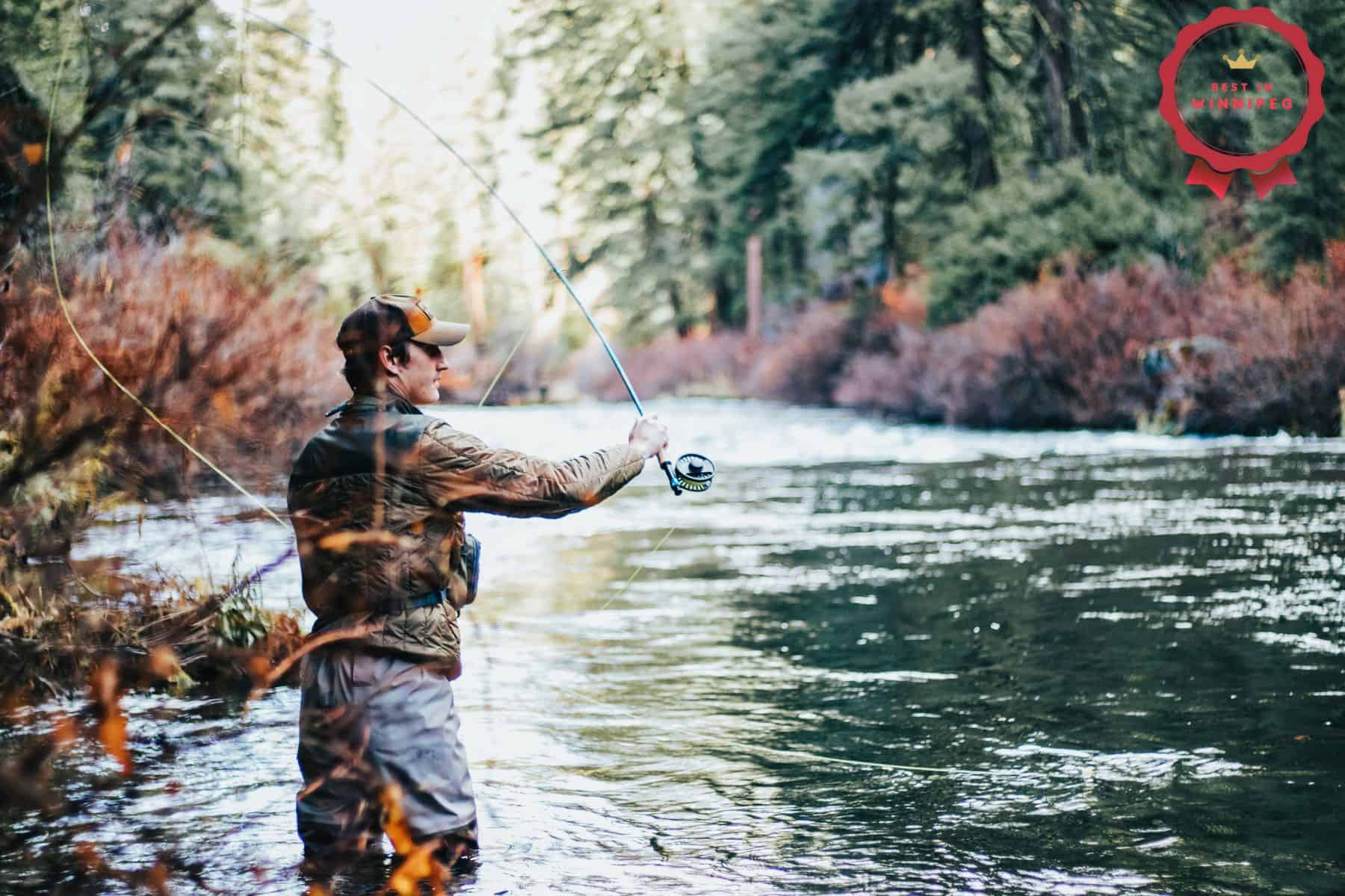 Angler's Guide Best Fishing Spots Near Winnipeg