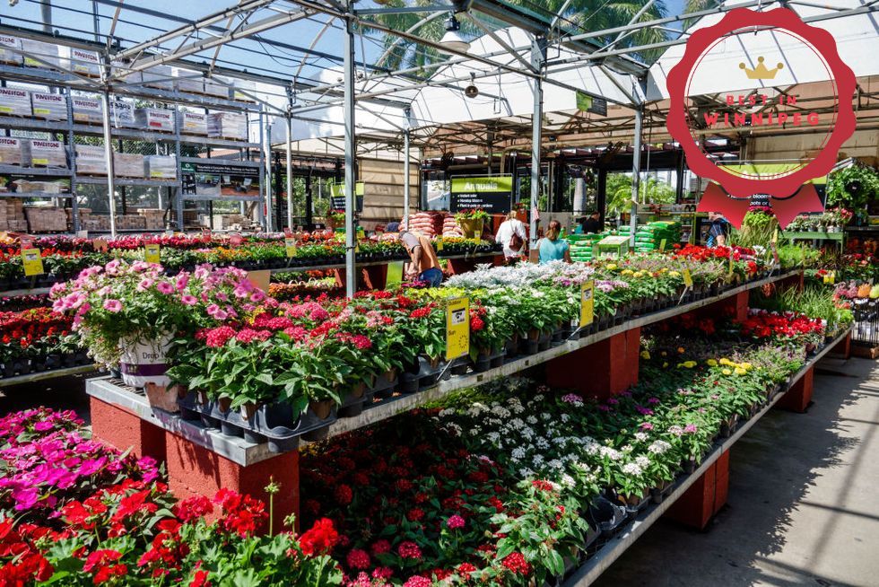 These 6 Plant Shops in Winnipeg Have Everything You Need
