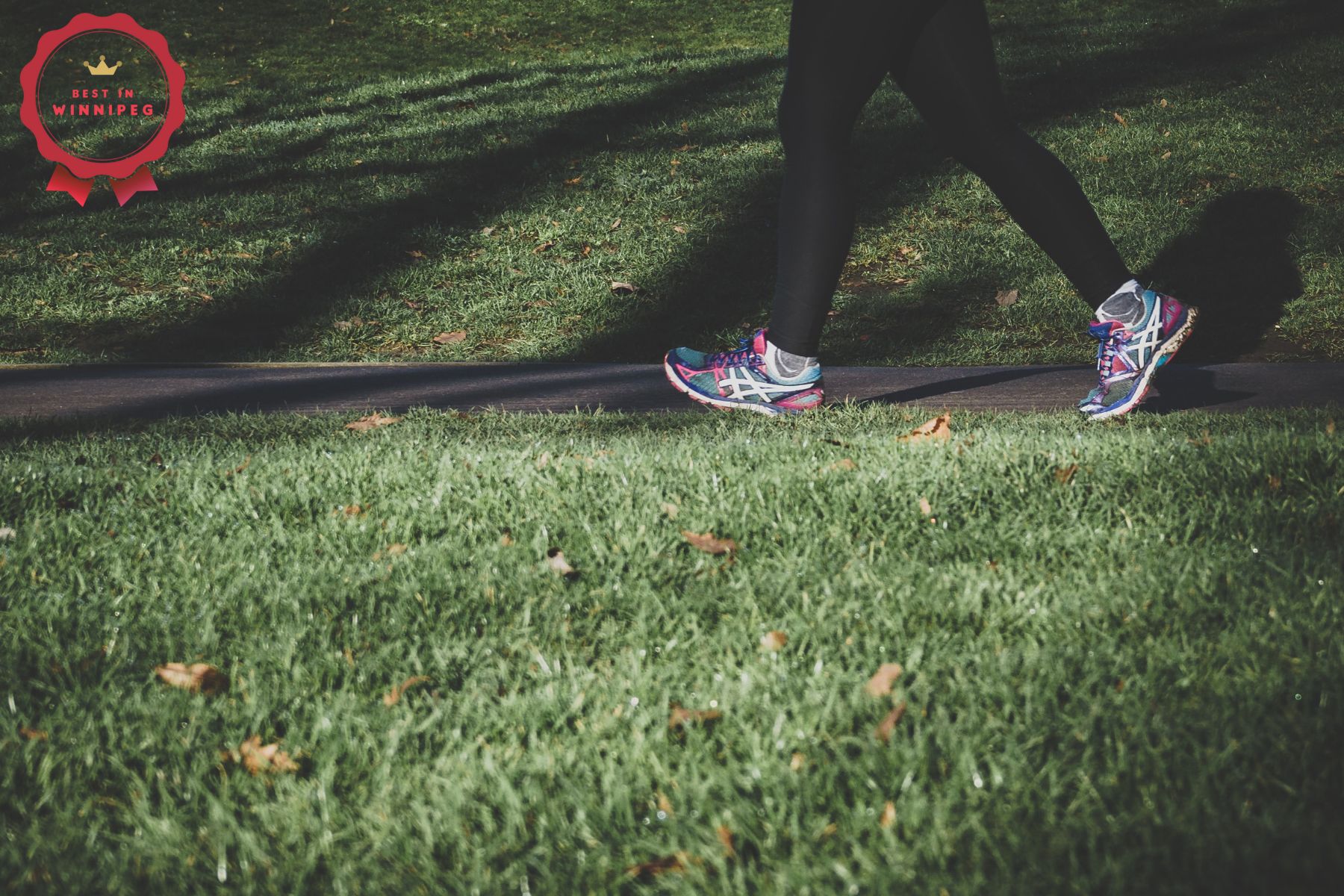 Best Walking Trails in Winnipeg
