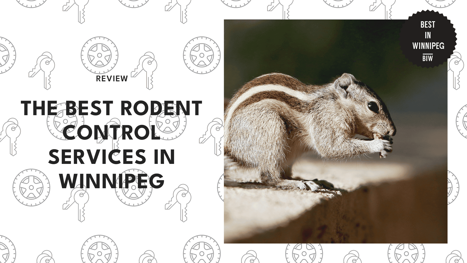 rodent-control-winnipeg-banner