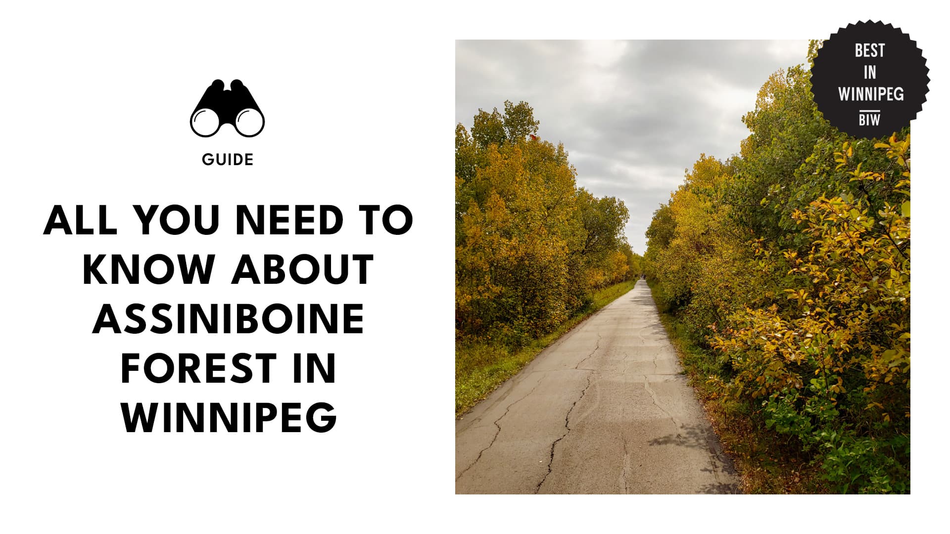 Explore Hidden Trails and Wildlife at Assiniboine Forest, Winnipeg