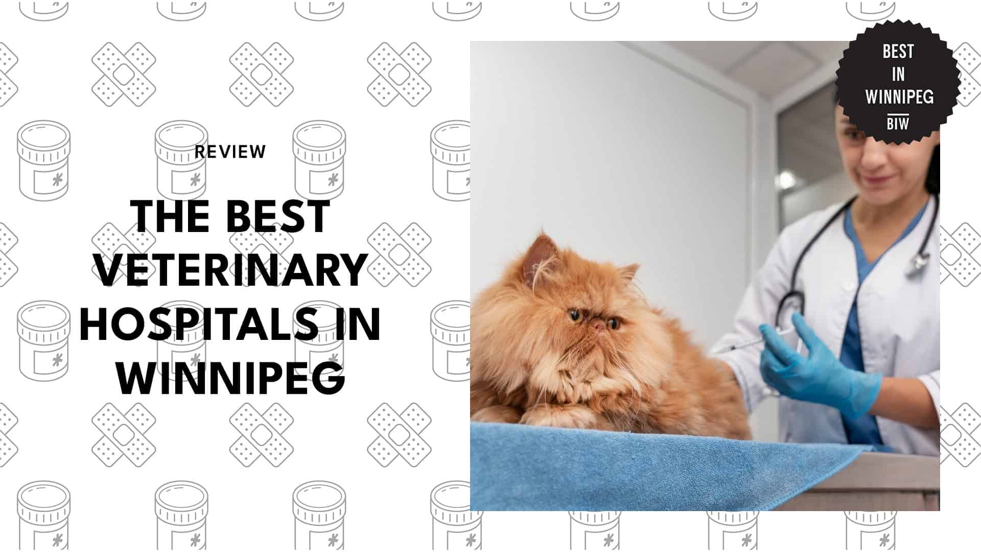 top-veterinary-hospitals-winnipeg-featured-banner