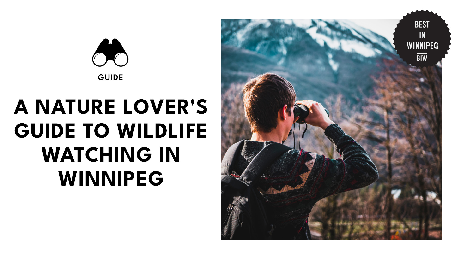 wildlife-watching-featured-banner