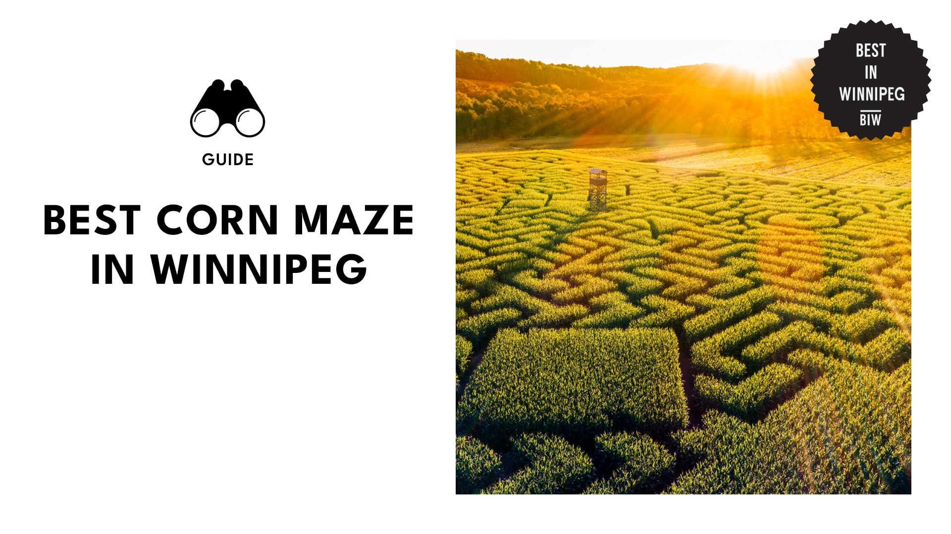 best-corn-mazes-winnipeg-banner