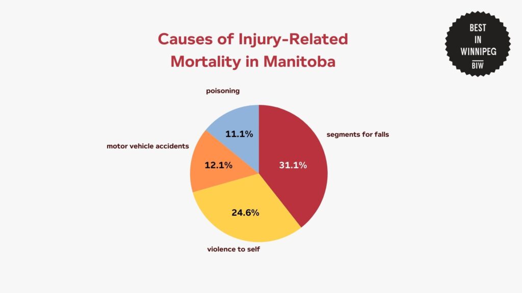 causes-of-injury-related-mortality-in-manitoba-chart