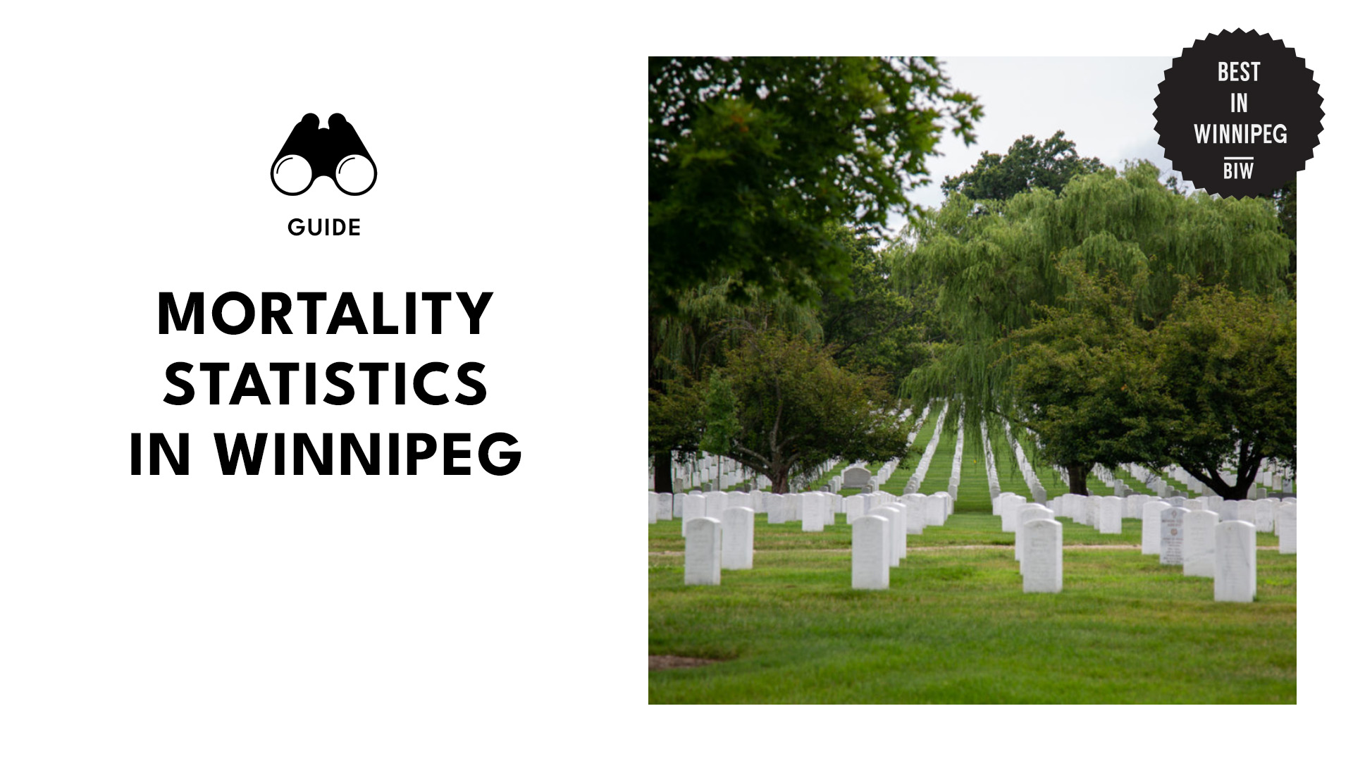 mortality-statistics-banner