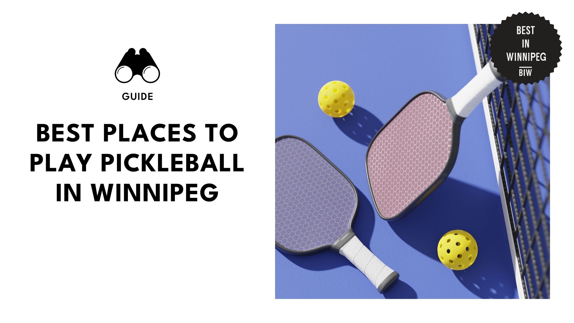 best-pickleball-winnipeg-banner