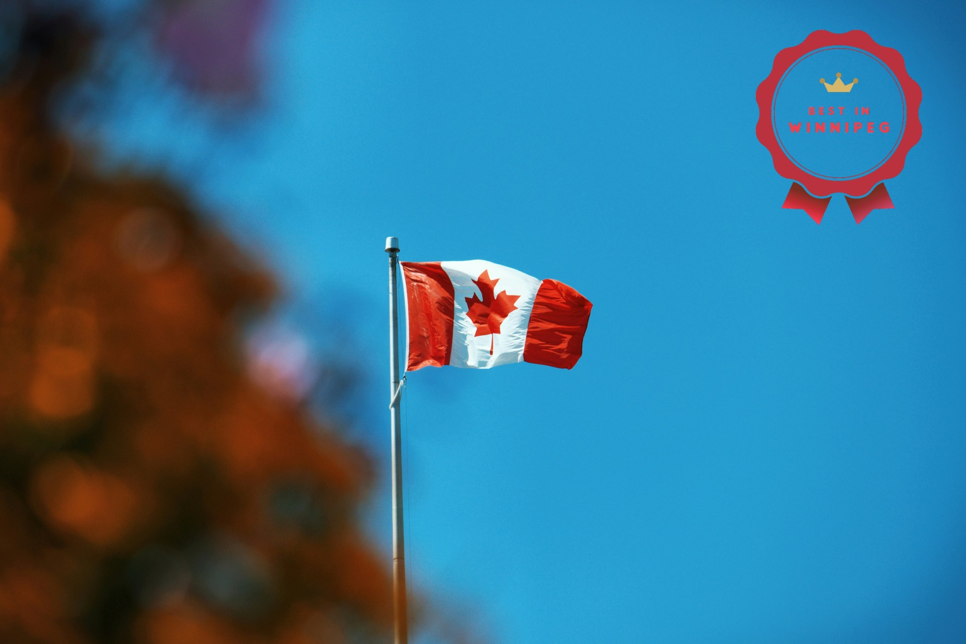 pioneer-day-banner