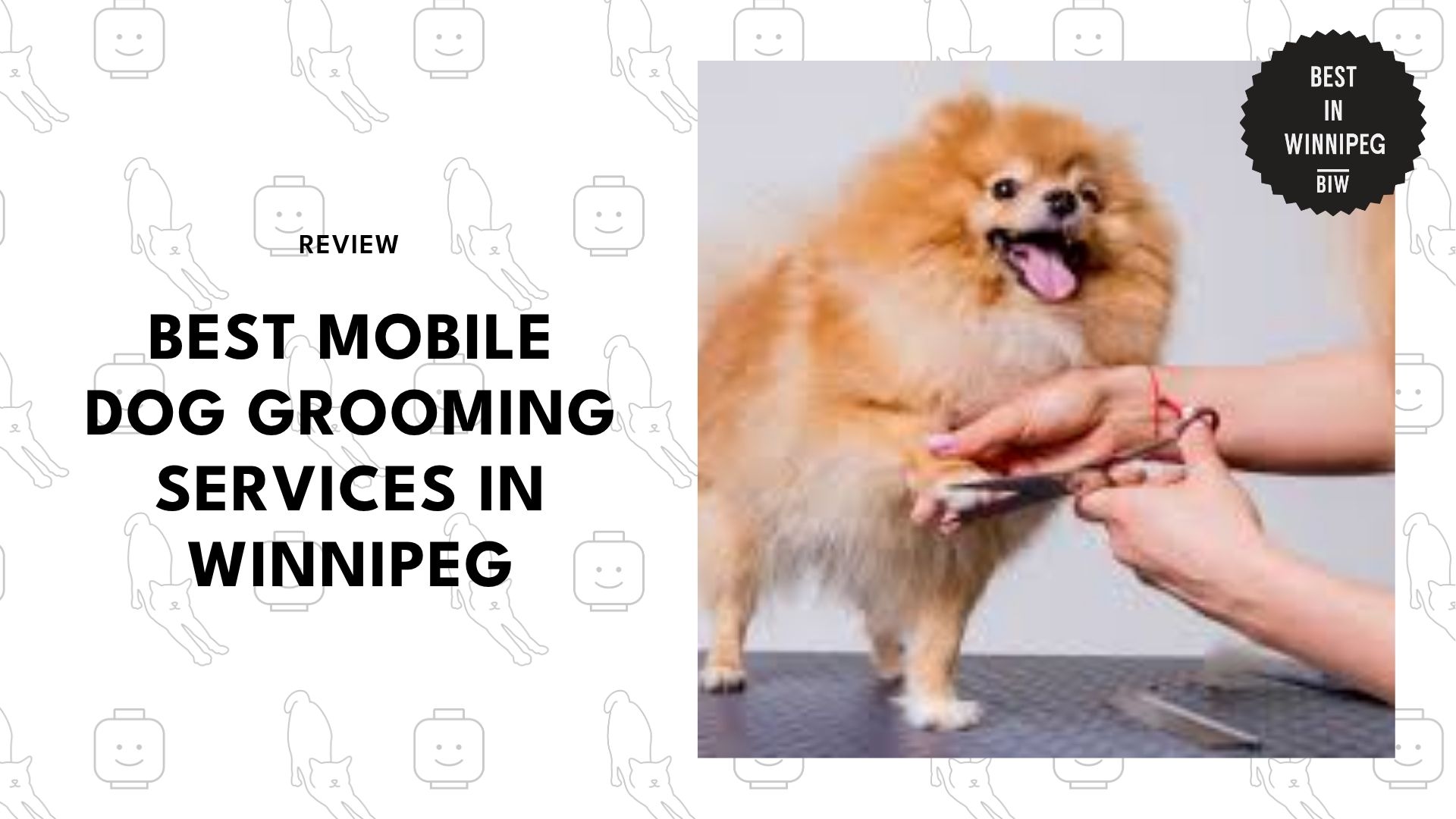 best-mobile-dog-grooming-winnipeg-banner