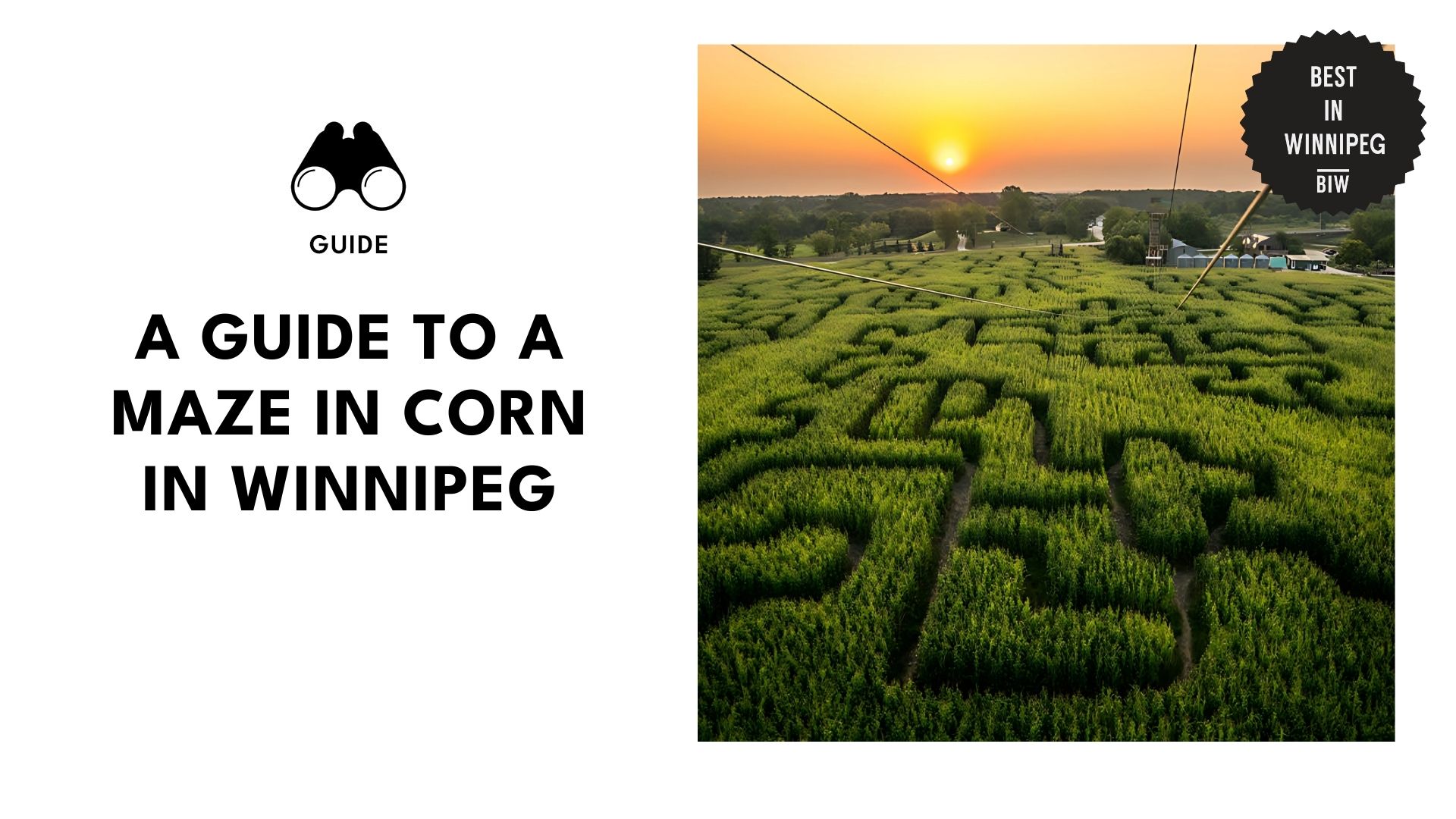 maze-in-corn-guide-banner