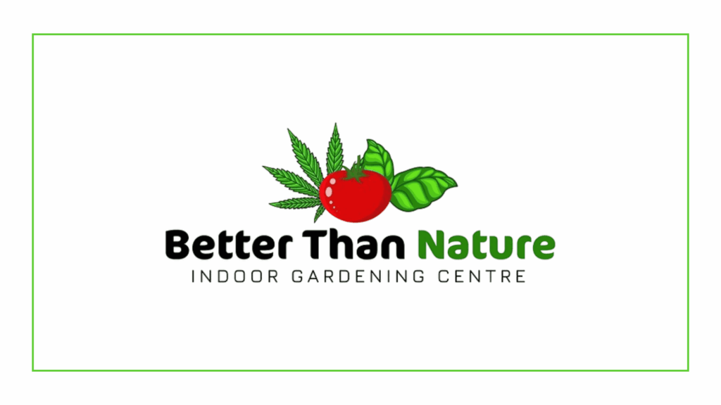 better-than-nature