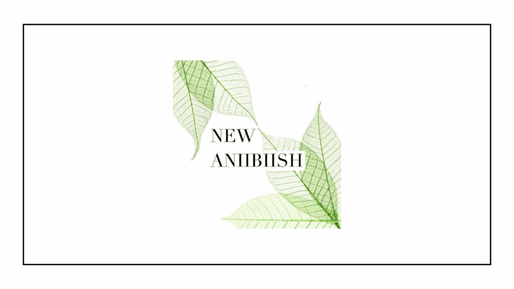 new-aniibiish