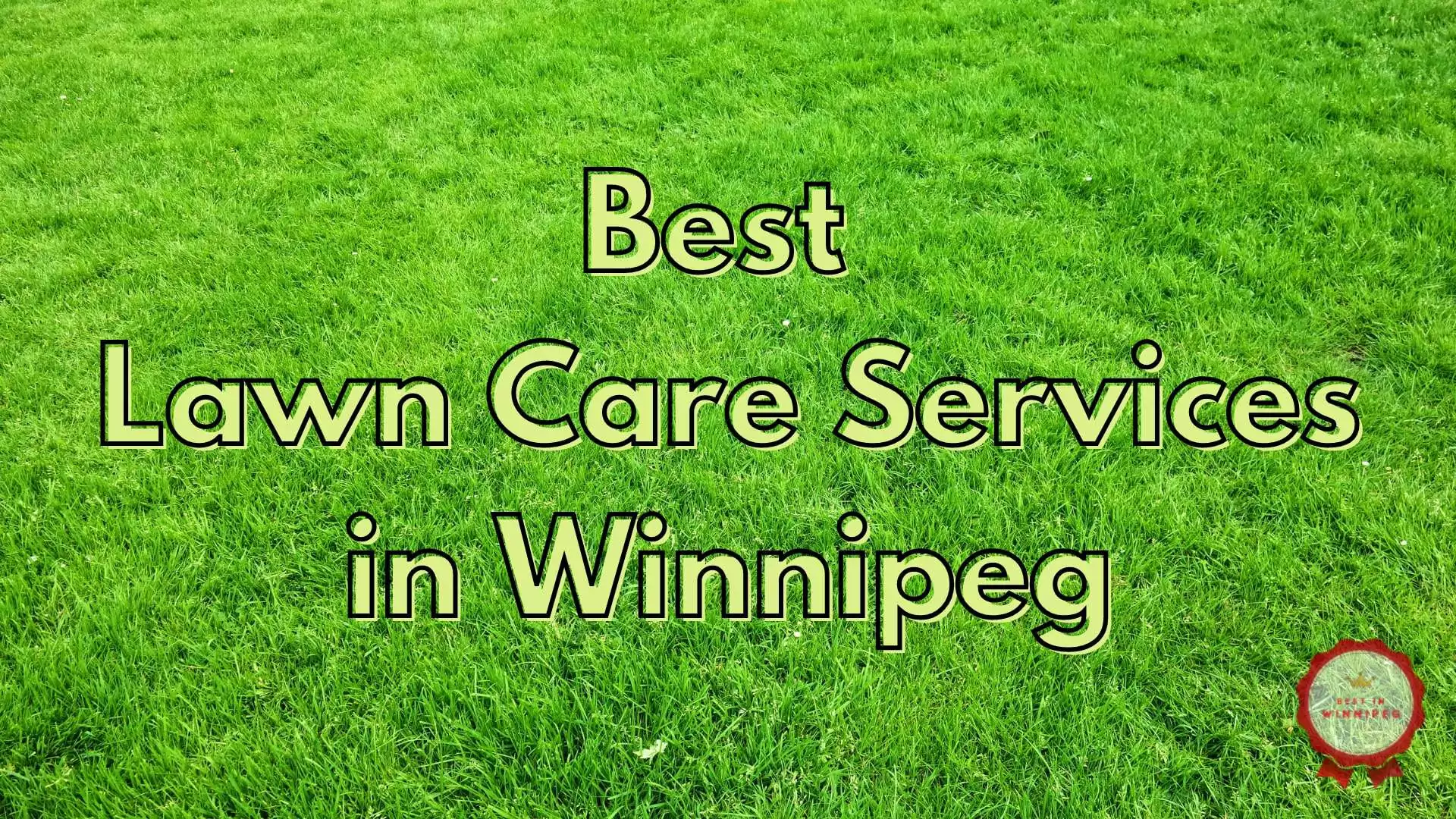 7 Services For The Best Lawn Care In Winnipeg 2022