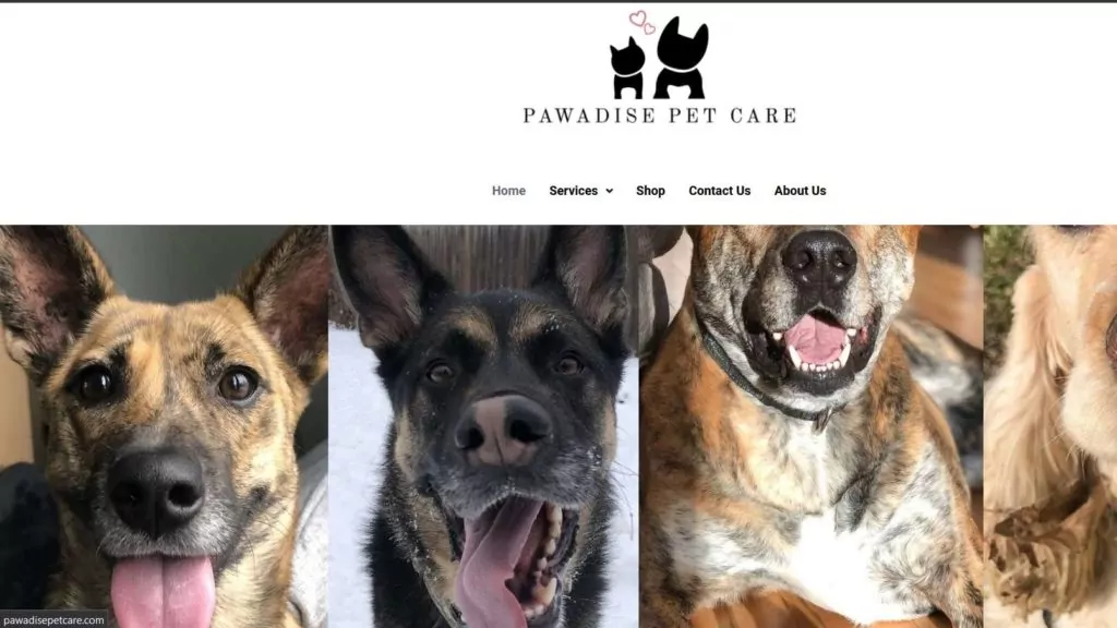 Pawadise Pet Care's Homepage