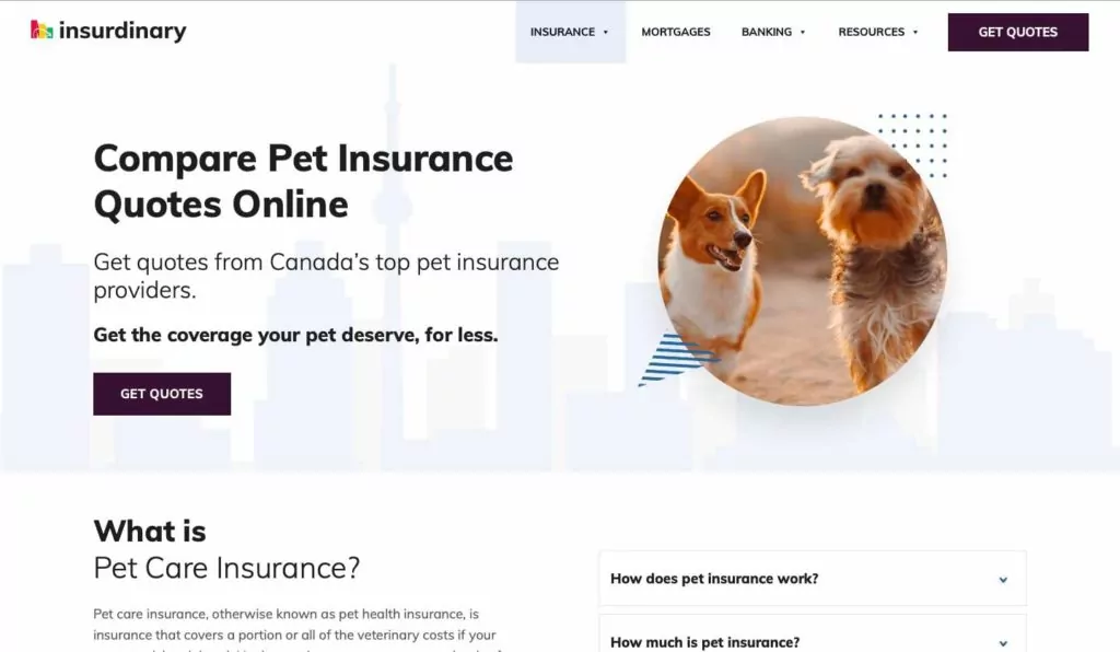 Insurdinary's Homepage
