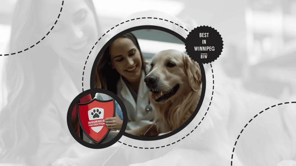 consider-getting-pet-health-insurance