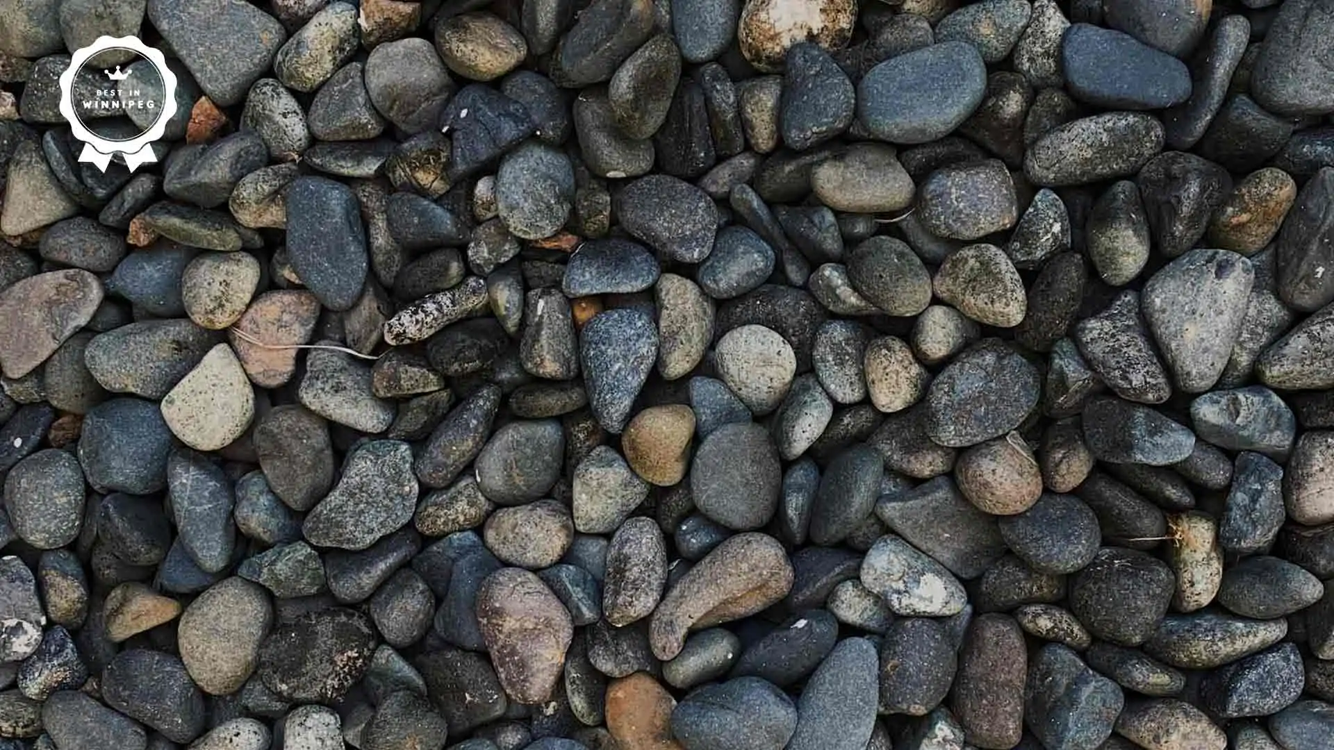 Best Pea Gravel Suppliers in Winnipeg