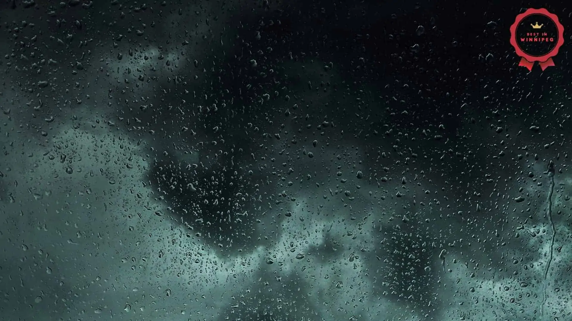 Best Activities for a Rainy Day in Winnipeg For Families