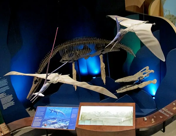 Earth History Gallery
