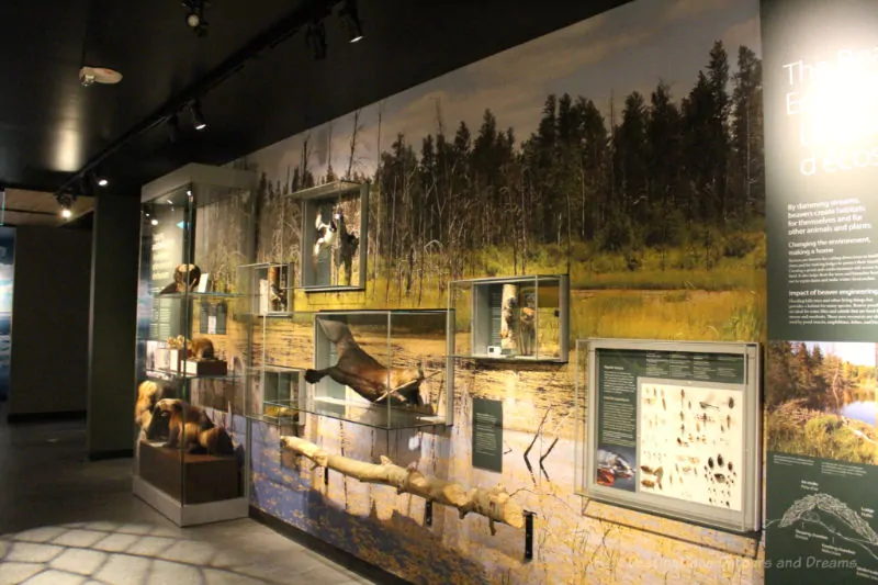 Parklands Gallery