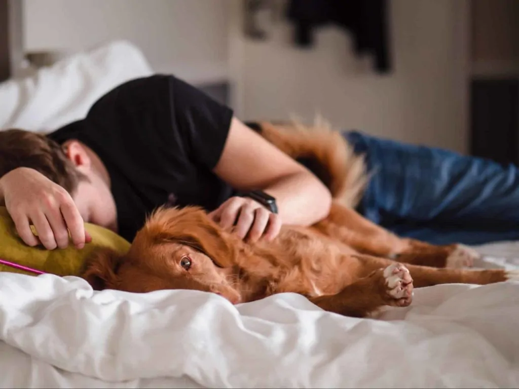 Top 6 Places to Stay with Your Dog in Winnipeg