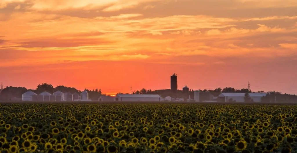 Van Ryssel Farms
