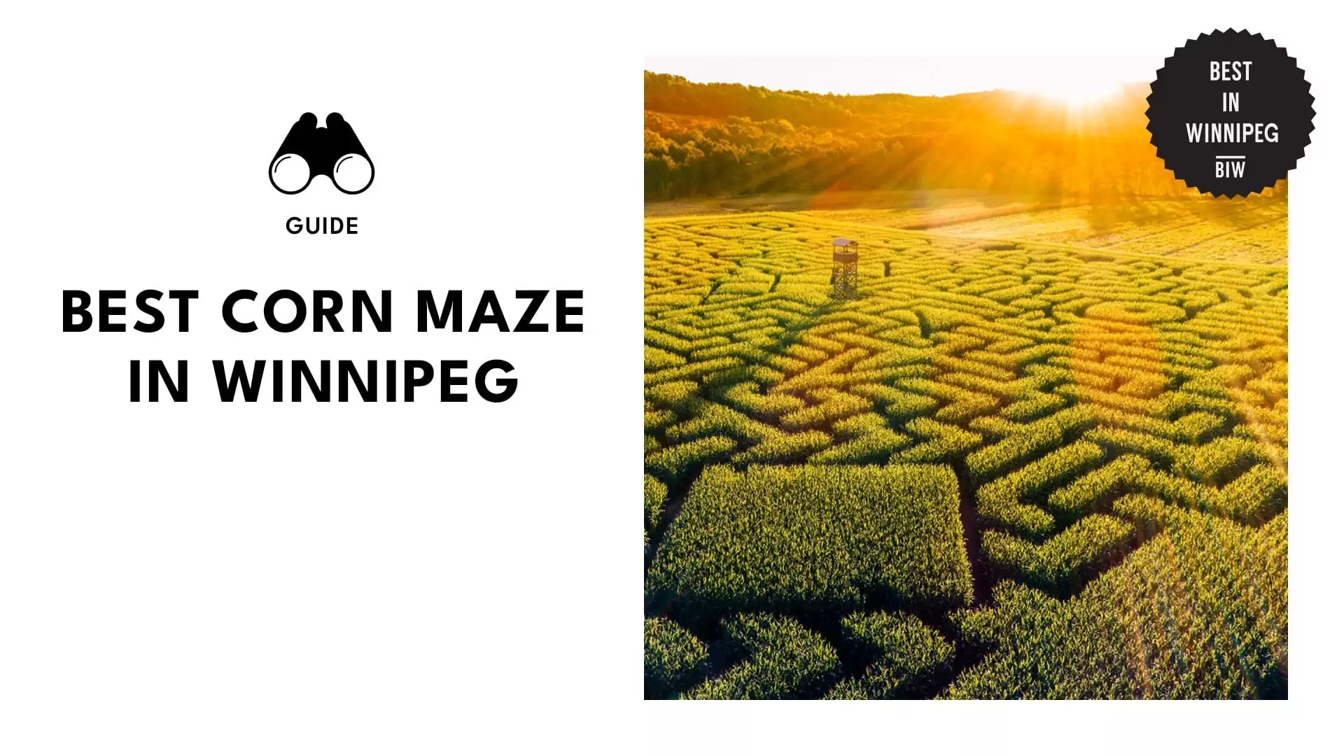best-corn-mazes-winnipeg-banner