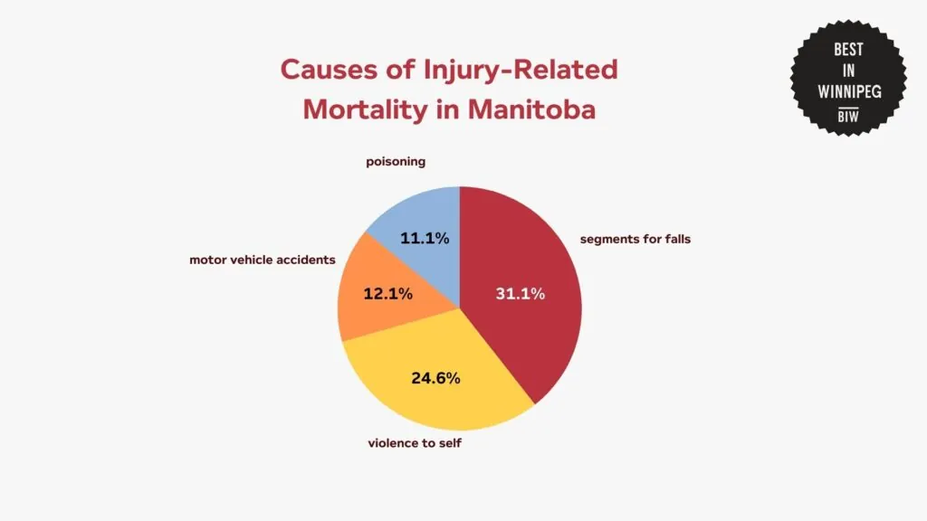 causes-of-injury-related-mortality-in-manitoba-chart